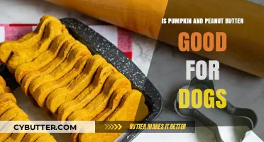 Pumpkin and Peanut Butter: Safe and Healthy Treats for Dogs?