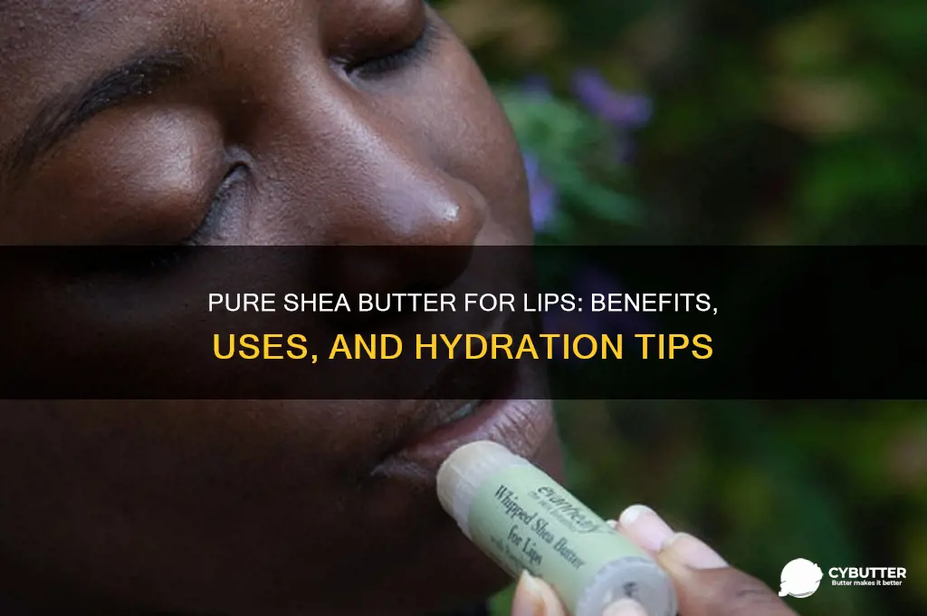 is pure shea butter good for lips