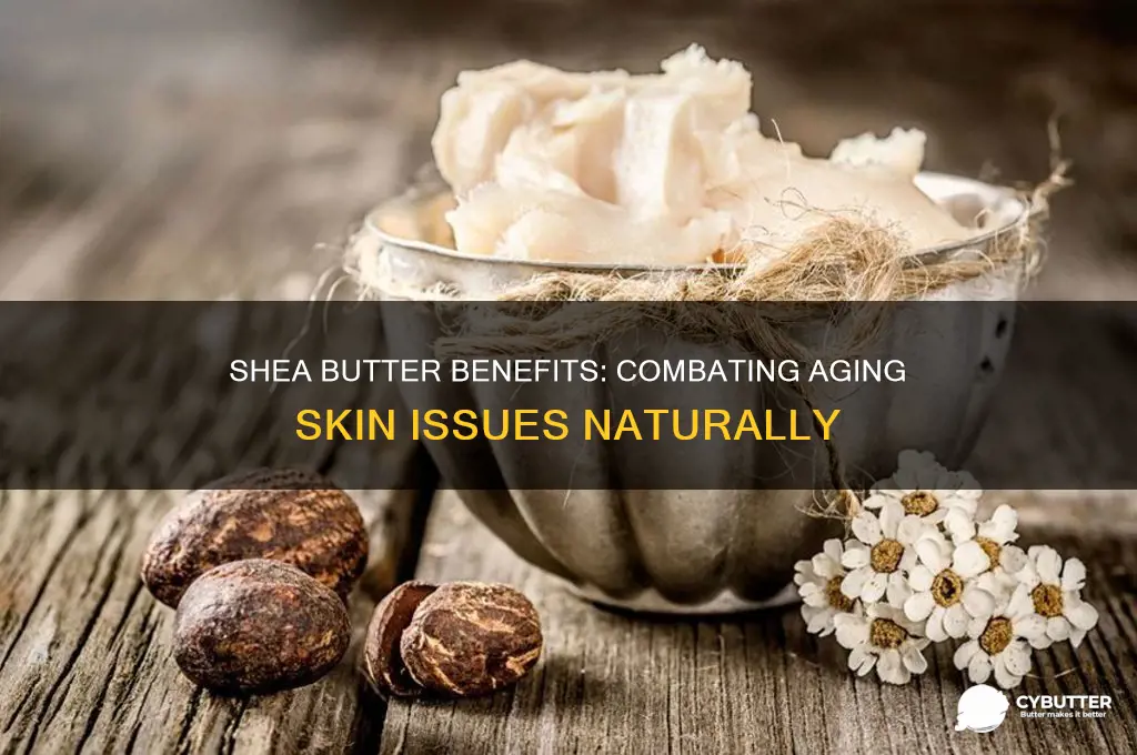 is pure shea butter good for older skin problems