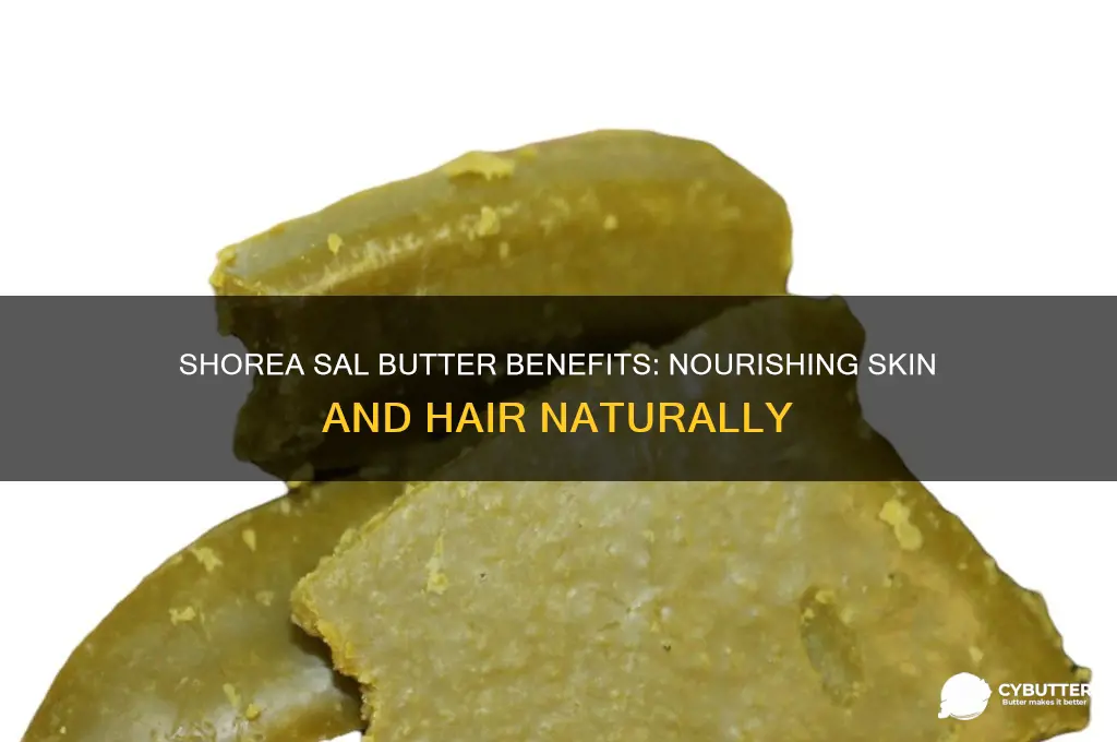 is pure shorea sal butter good for skin and hair