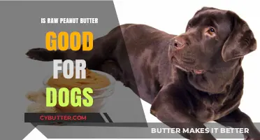 Can Dogs Eat Raw Peanut Butter? Benefits, Risks, and Safe Serving Tips