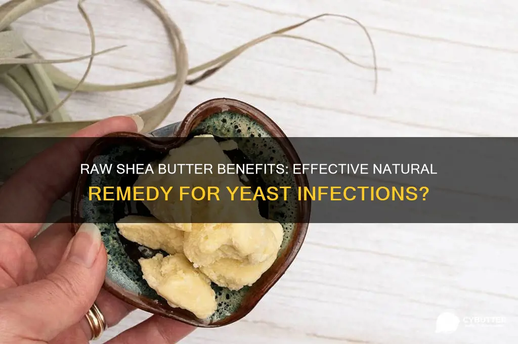 is raw shae butter good for yeast infection