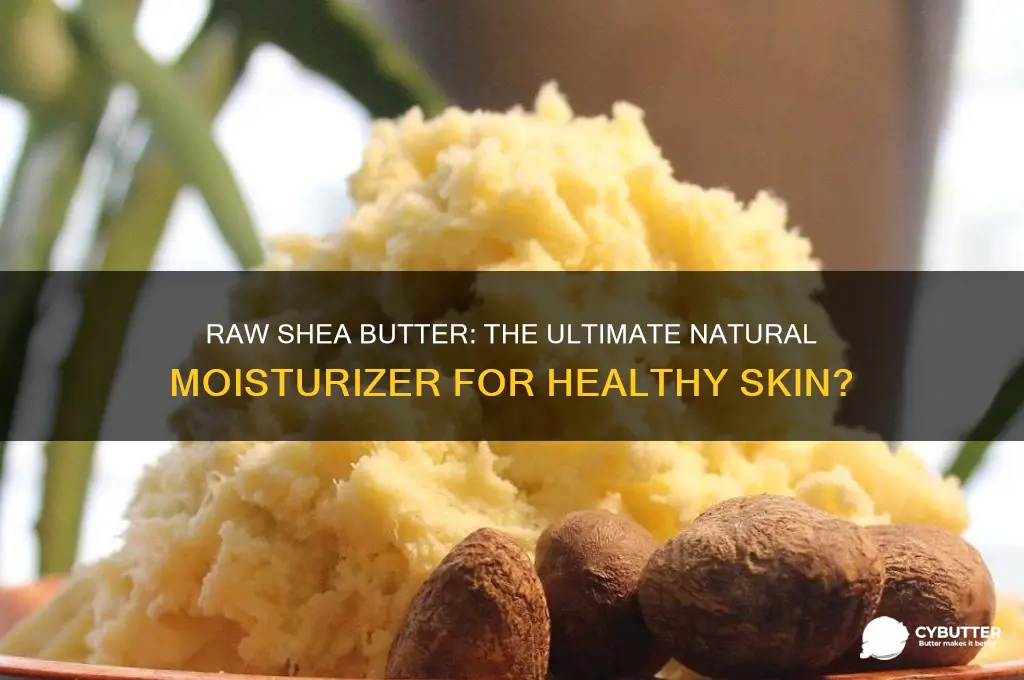is raw shea butter a good moisturizer