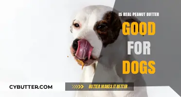 Can Dogs Eat Real Peanut Butter? Benefits and Risks Explained