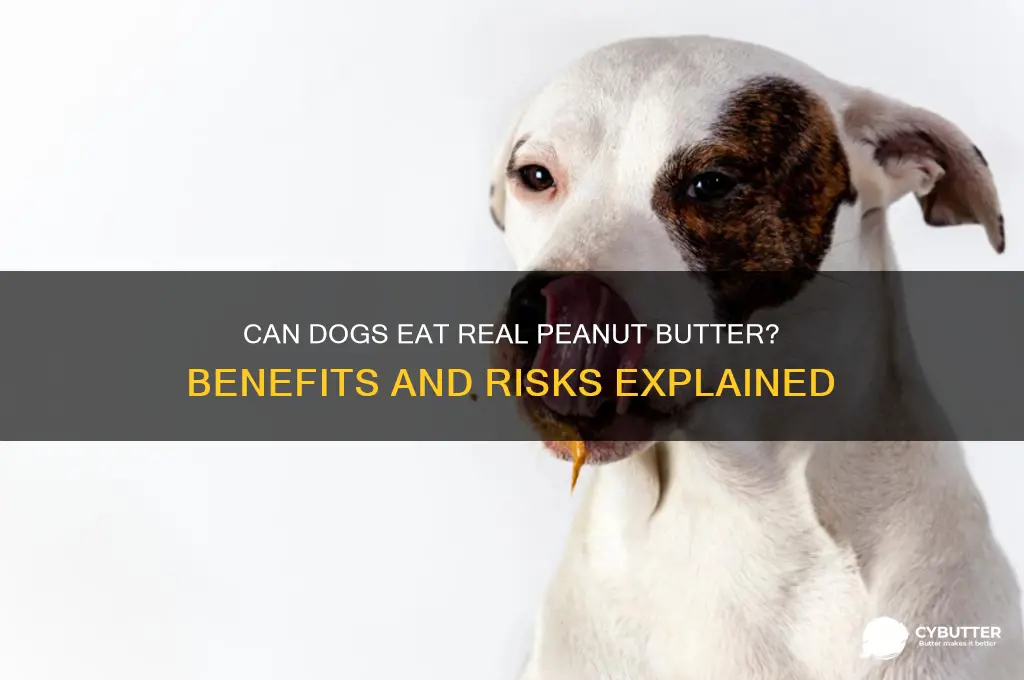 is real peanut butter good for dogs