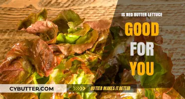 Is Red Butter Lettuce Healthy? Nutrition Benefits Explained