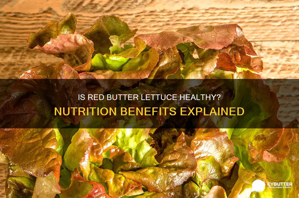 is red butter lettuce good for you