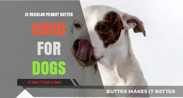 Is Regular Peanut Butter Safe for Dogs? A Complete Guide