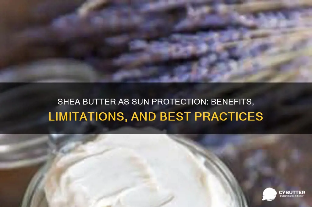 is shae butter a good sun protectant