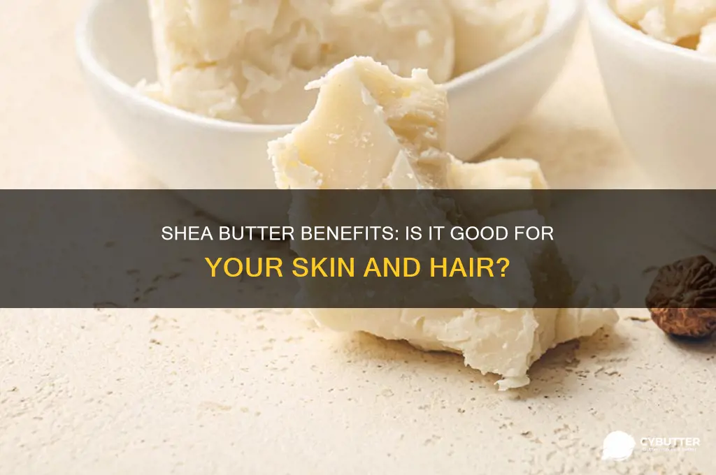 is shae butter good