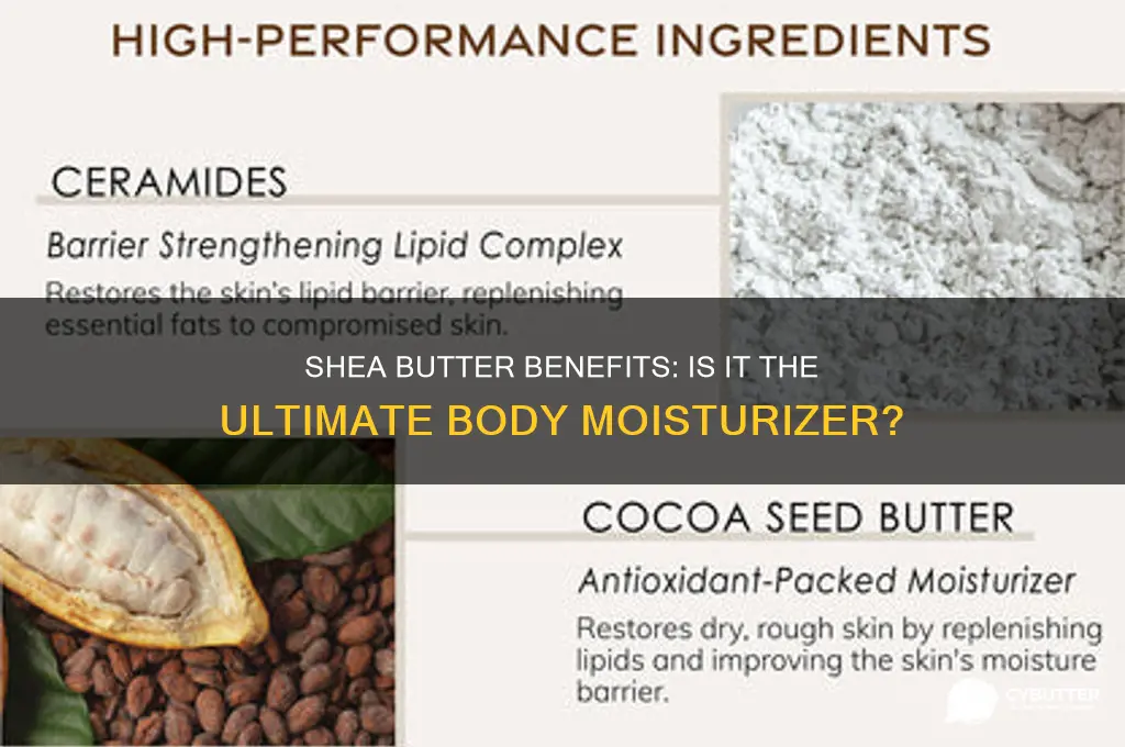 is shea butter a good body moisturizer