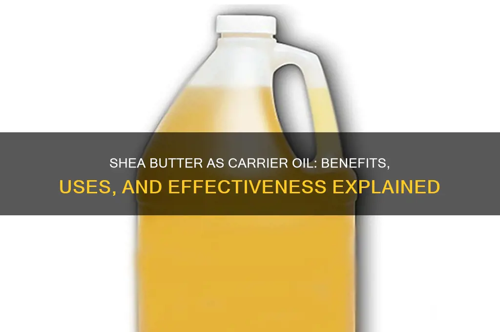 is shea butter a good carrier oil