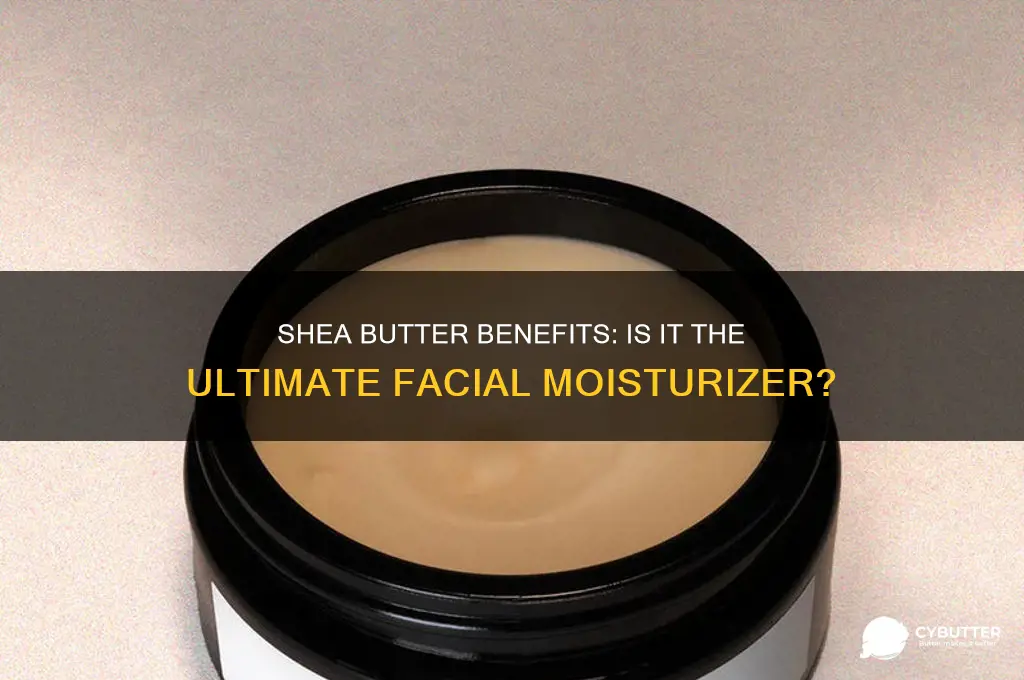 is shea butter a good facial moisturizer