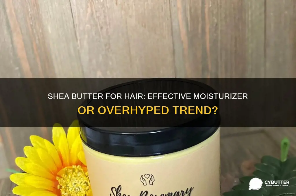 is shea butter a good hair moisturizer