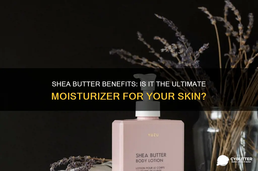 is shea butter a good moisturizer