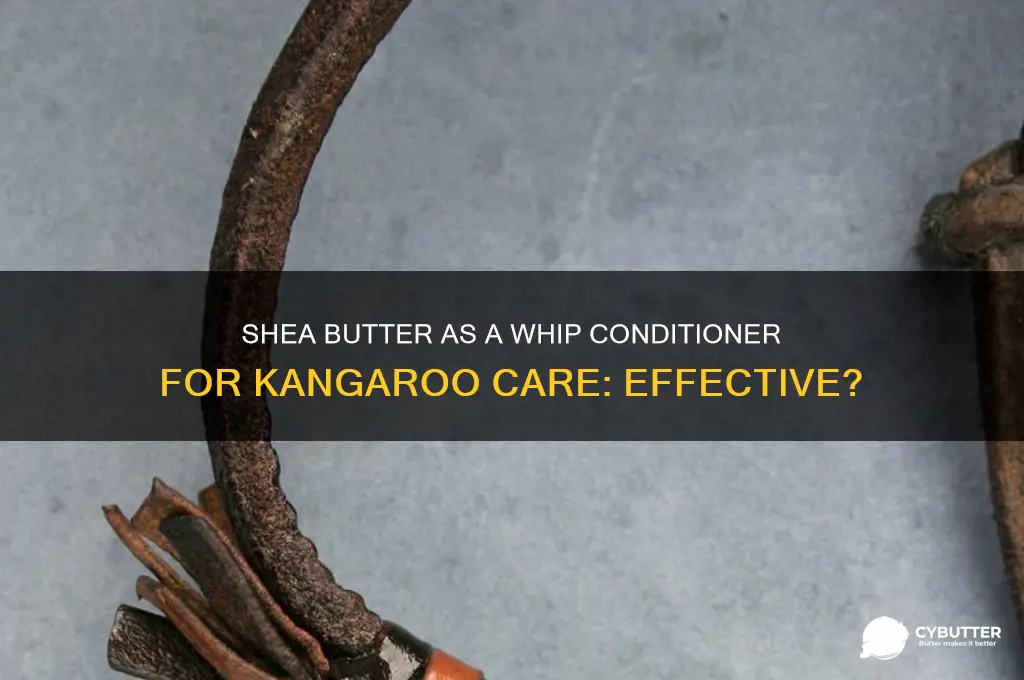 is shea butter a good whip conditioner for kangaroo whip
