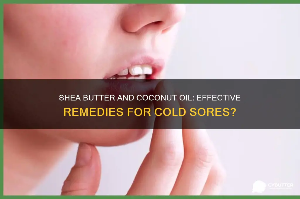 is shea butter and coconut oil good for cold sores