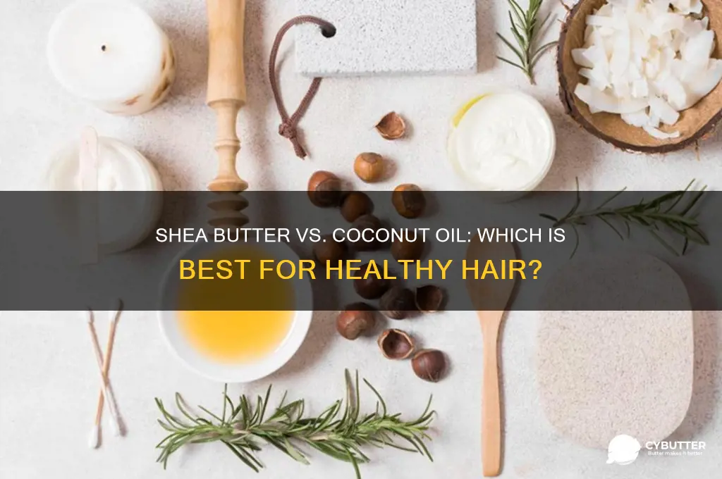 is shea butter and coconut oil good for hair