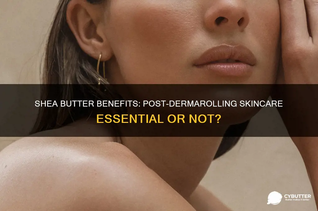is shea butter good after dermarolling