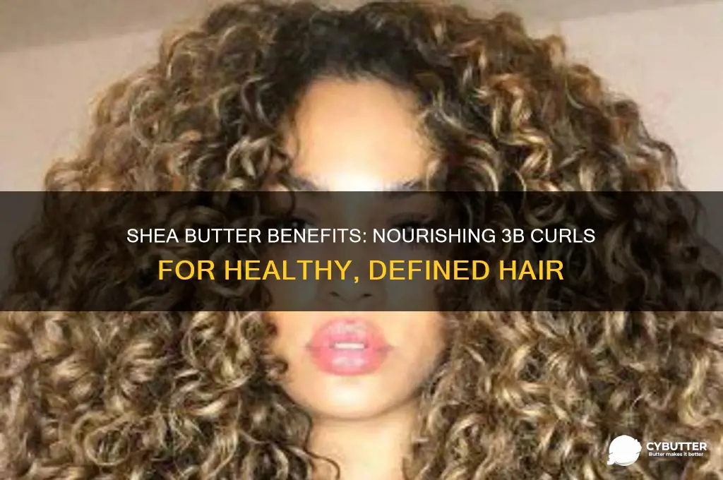 is shea butter good for 3b hair