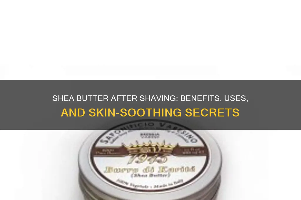 is shea butter good for after shaving