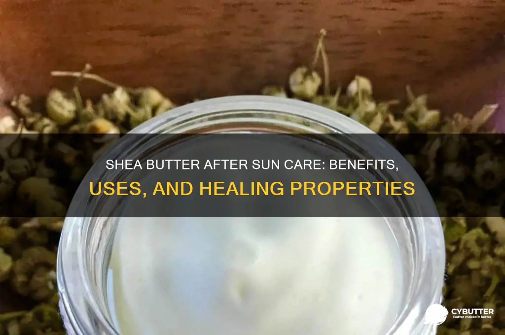 is shea butter good for after sun