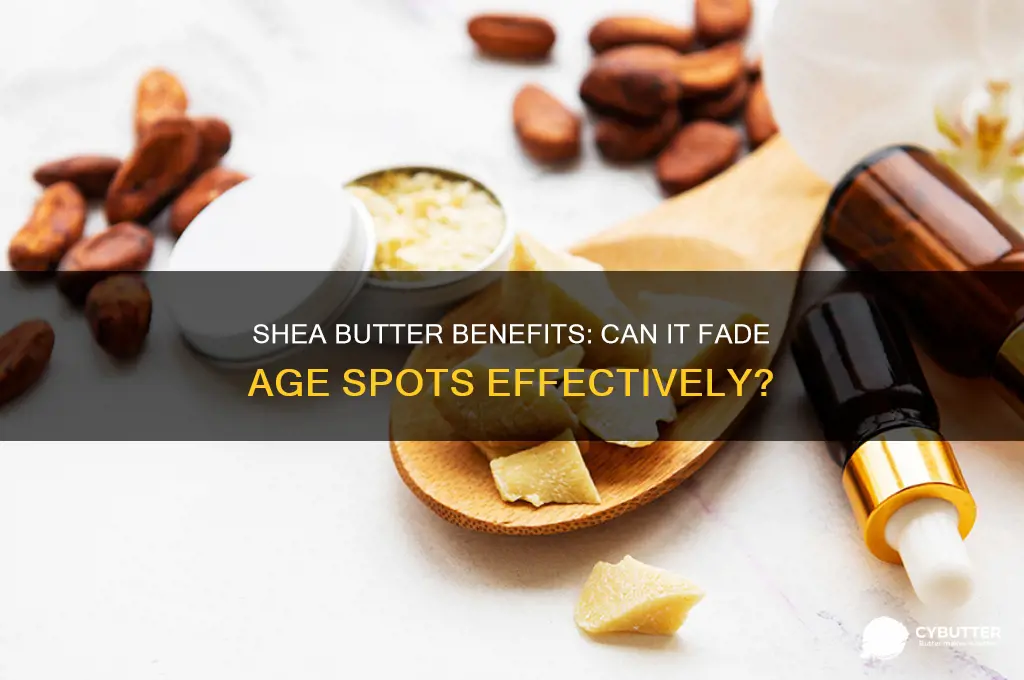 is shea butter good for age spots