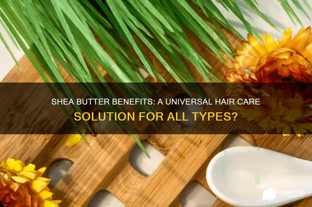 is shea butter good for all hair types