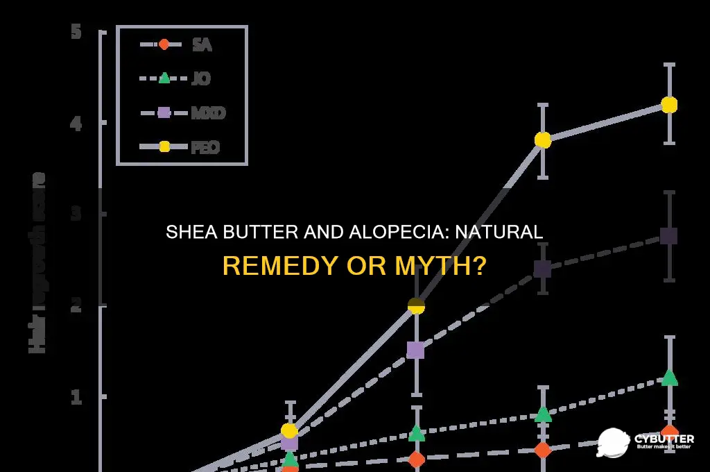 is shea butter good for alopecia