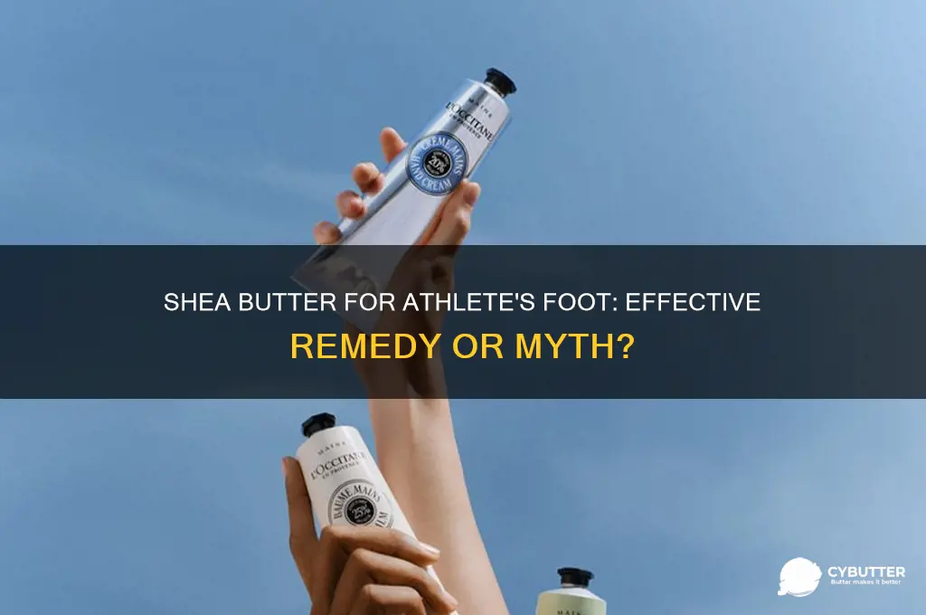 is shea butter good for athlete