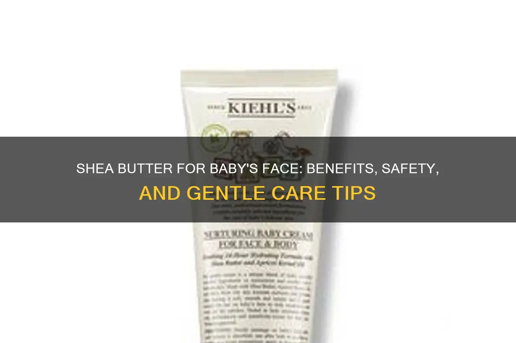 is shea butter good for babies face