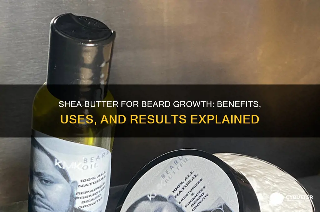 is shea butter good for beard growth