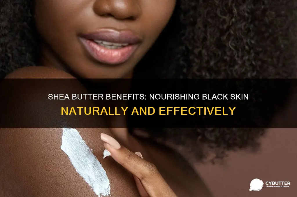 is shea butter good for black skin