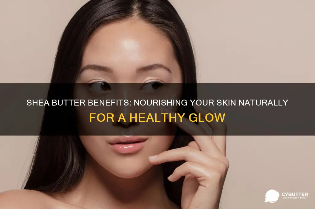 is shea butter good for body