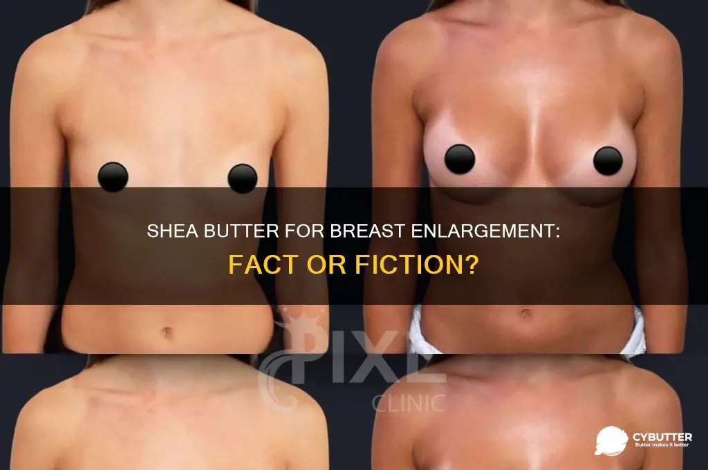 is shea butter good for breast enlargement