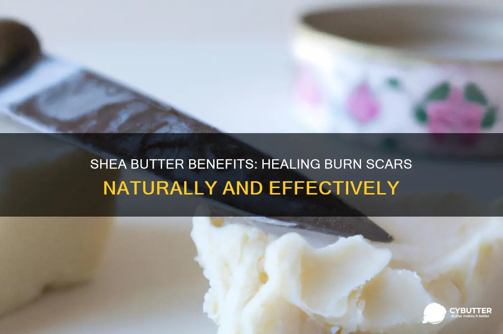 is shea butter good for burn scars