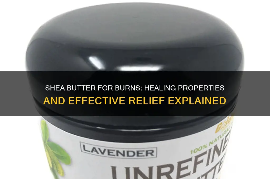 is shea butter good for burns