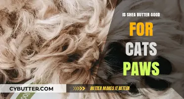Is Shea Butter Safe for Cats' Paws? A Pet Care Guide