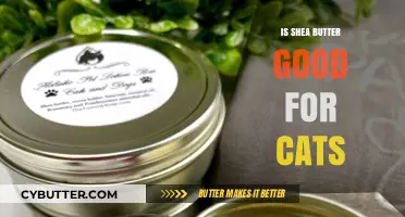 Is Shea Butter Safe for Cats? Benefits and Risks Explained