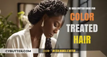 Shea Butter Benefits: Nourishing Color-Treated Hair Naturally and Safely