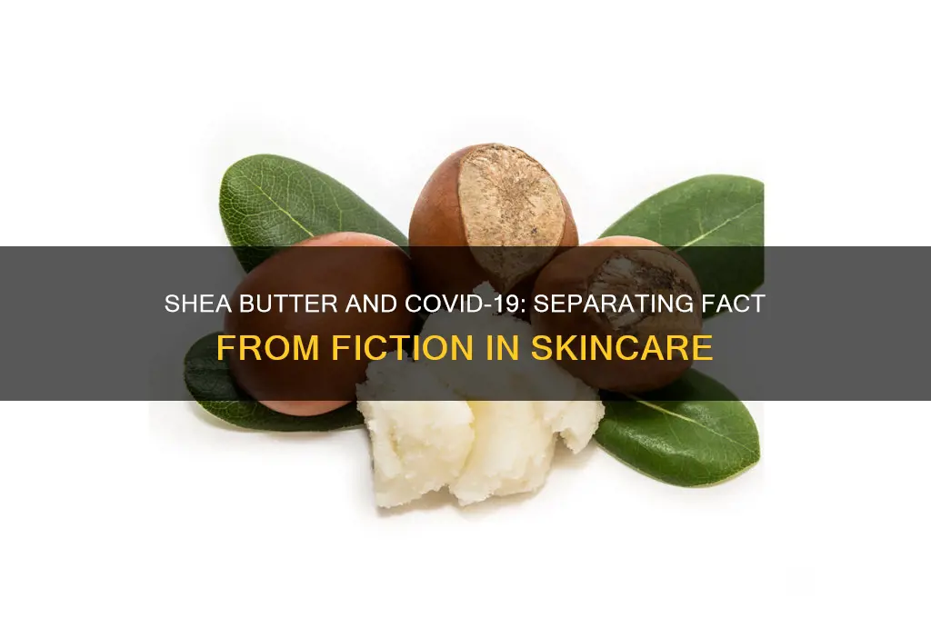 is shea butter good for coronavirus