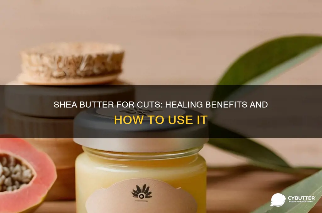 is shea butter good for cuts