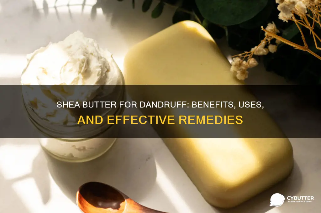 is shea butter good for dandruff