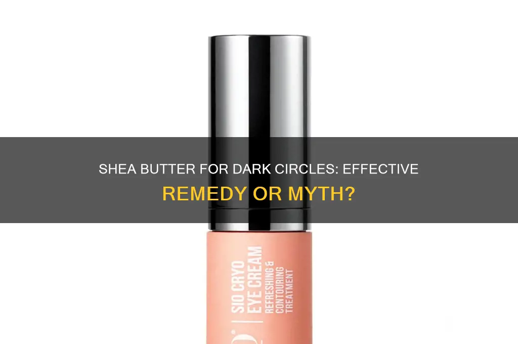 is shea butter good for dark circles