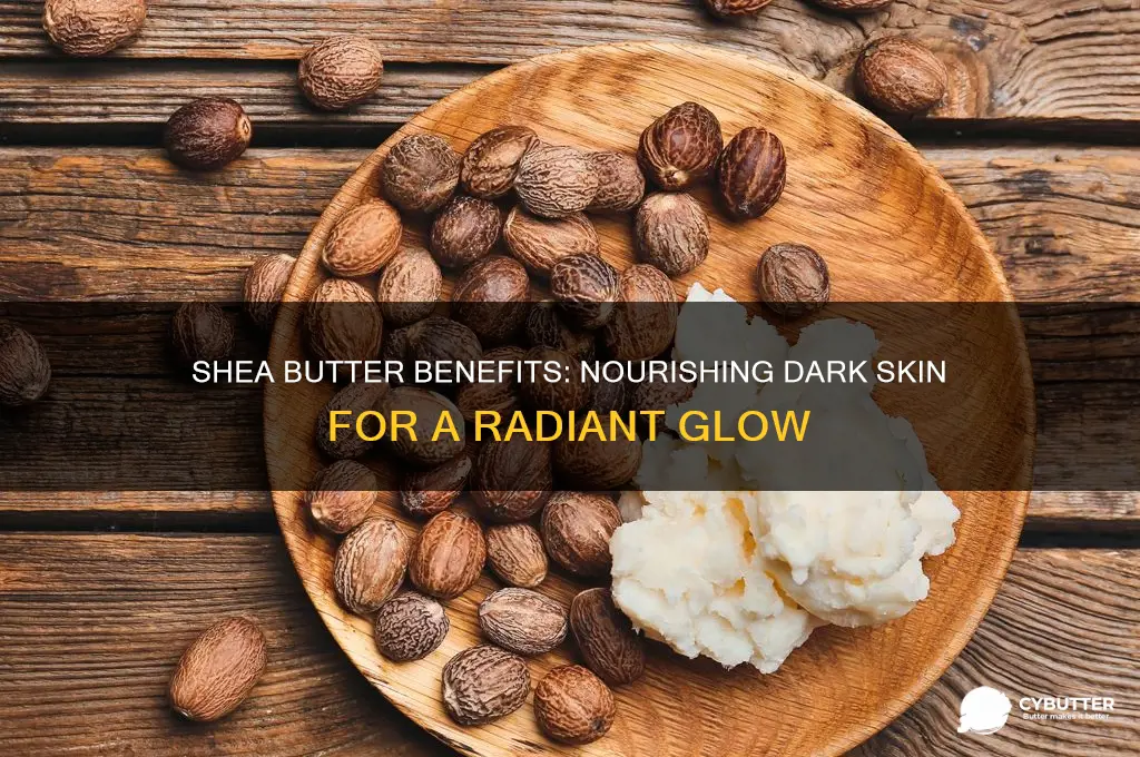 is shea butter good for dark skin