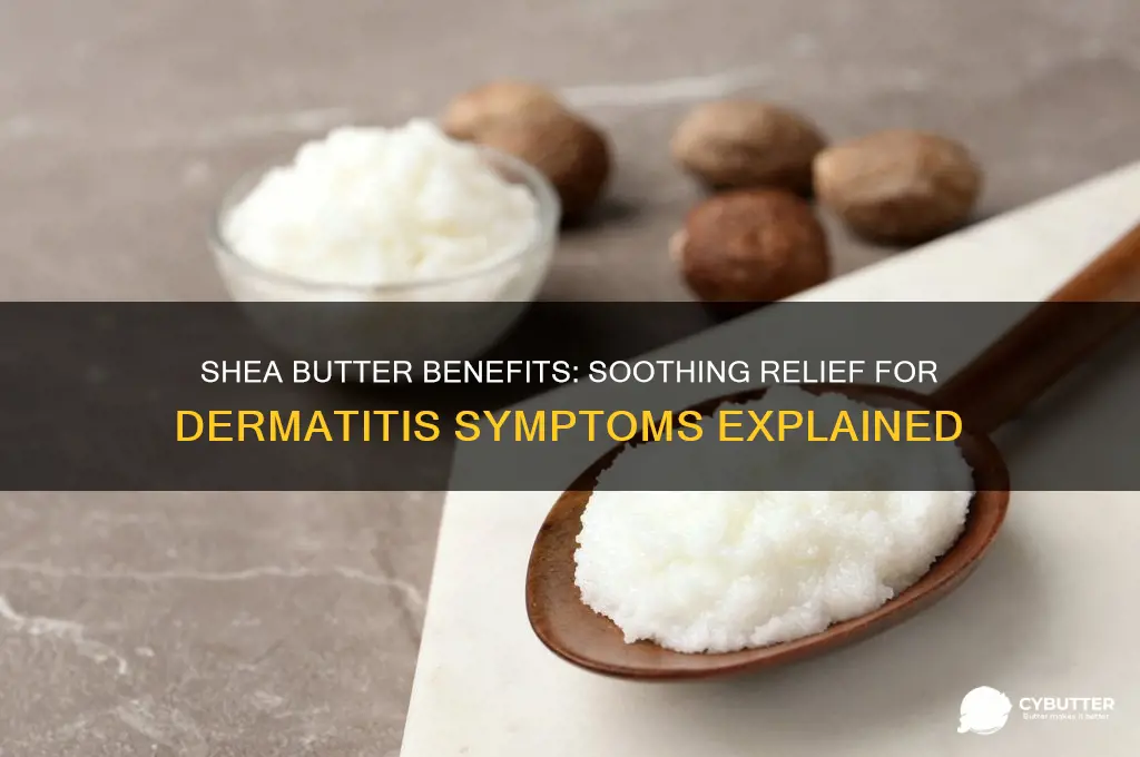 is shea butter good for dermatitis