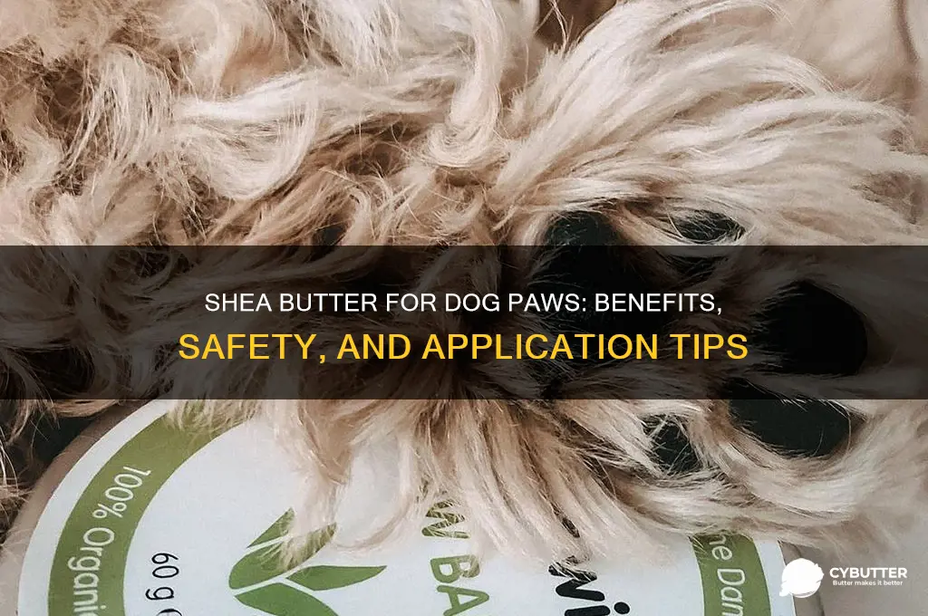 is shea butter good for dog paws