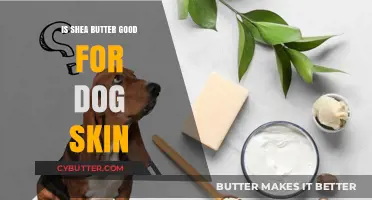Shea Butter Benefits: Is It Safe for Your Dog's Skin?