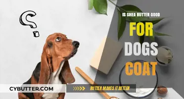 Shea Butter Benefits: Enhancing Your Dog's Coat Health Naturally