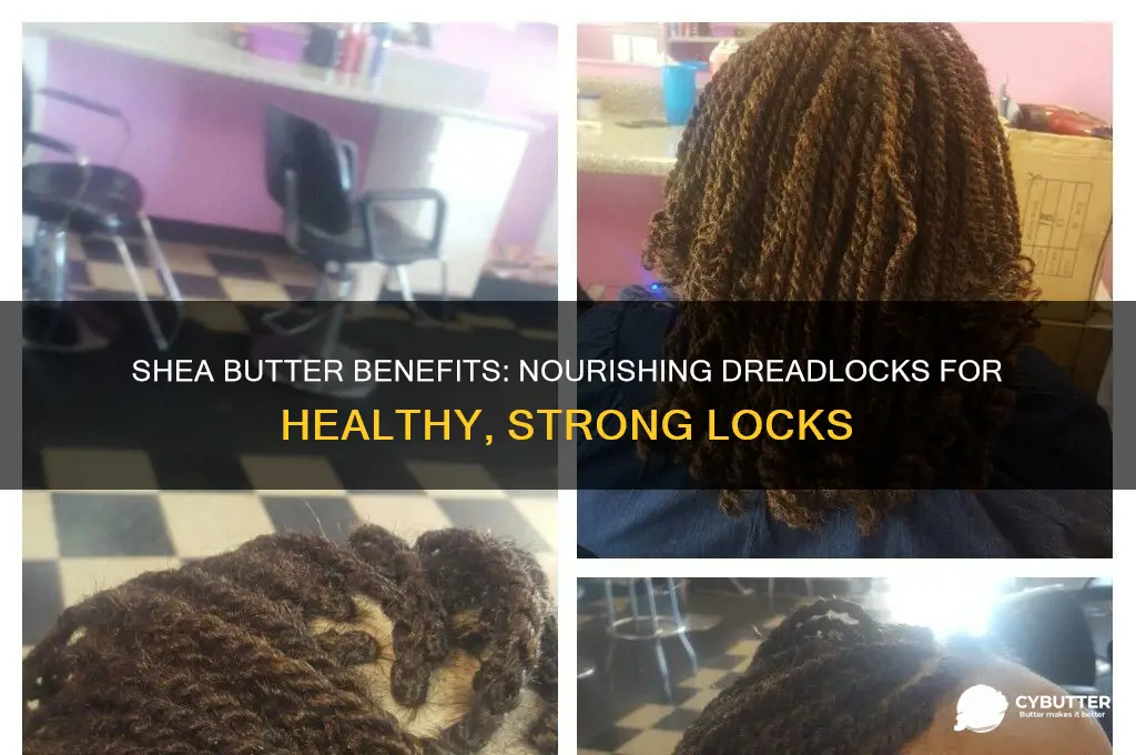 is shea butter good for dreadlocks